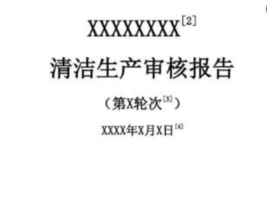 清洁生产审核报告