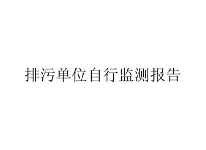 排污许可自行监测报告
